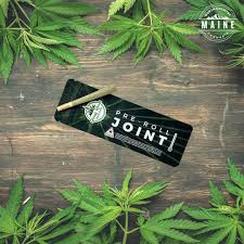 Swamp Water Fumez 1g Pre-Roll Grass Roots